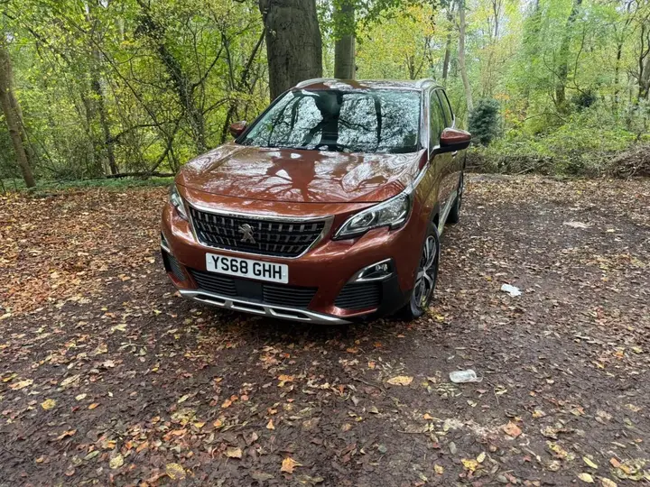 Peugeot 3008 2018 photo 3
