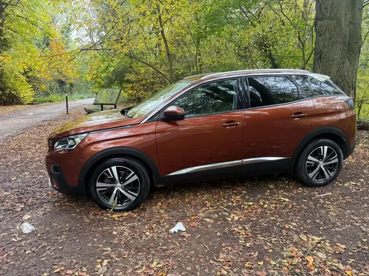 Peugeot 3008 2018 photo 2