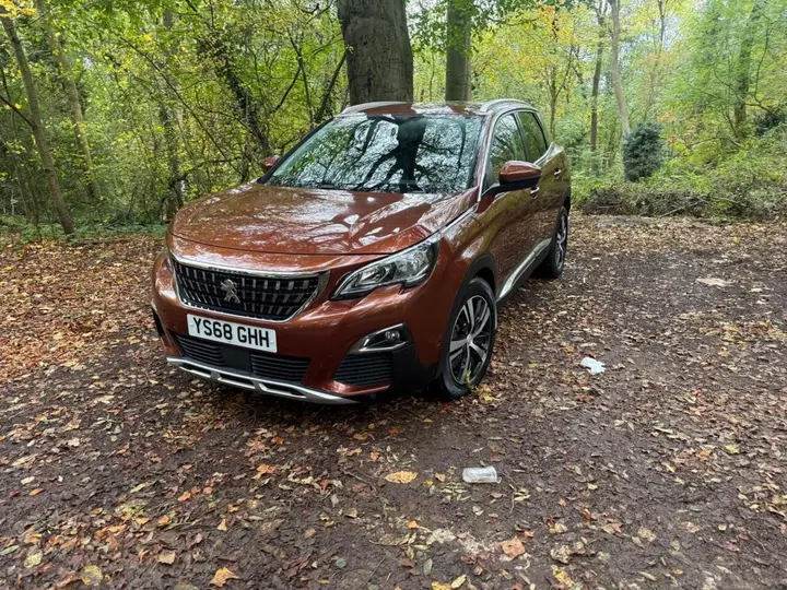 Peugeot 3008 2018 photo 4