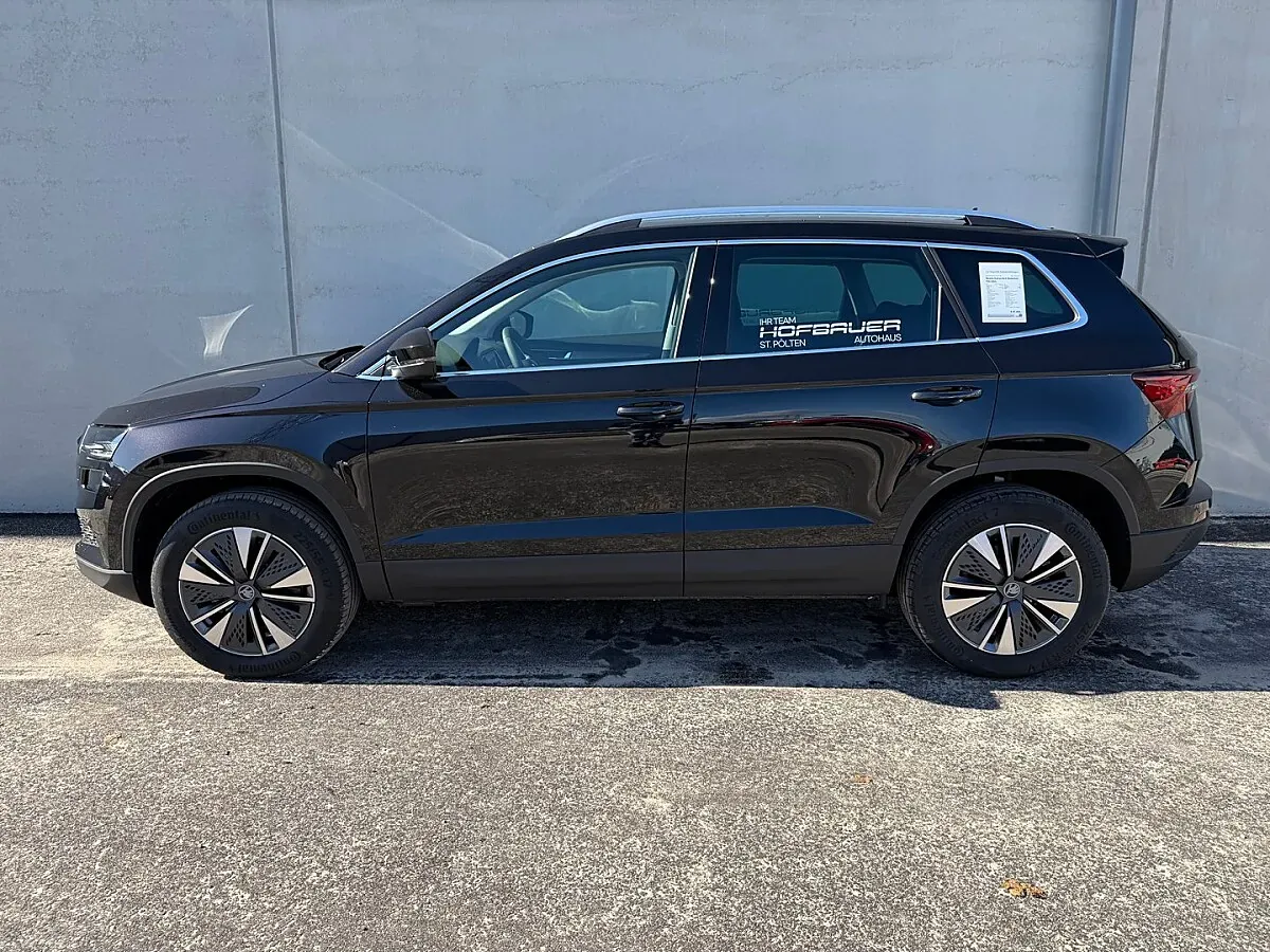 Skoda Karoq 2026 photo 3