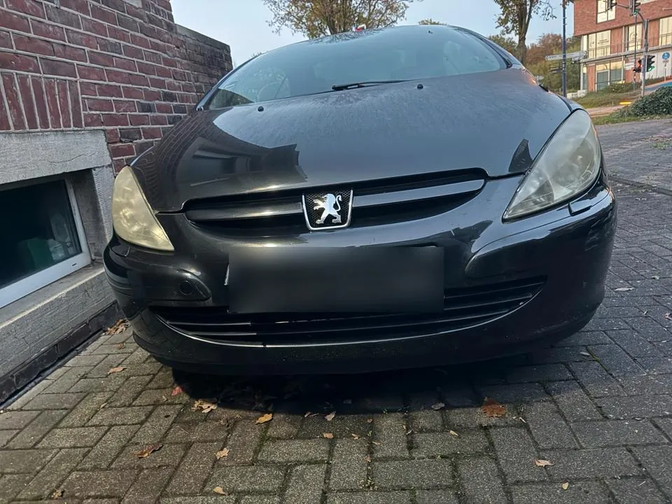 Peugeot 307