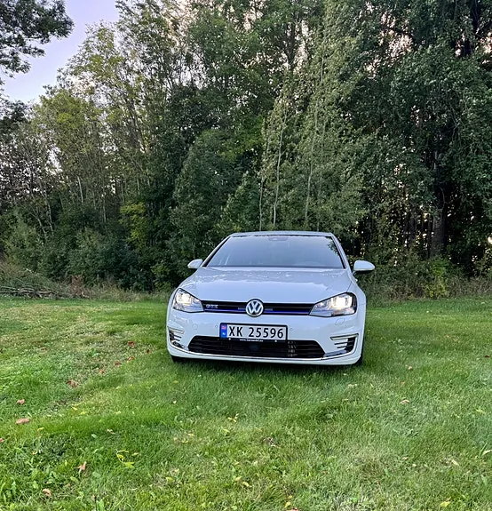 Volkswagen Golf Vii 2016 photo 2