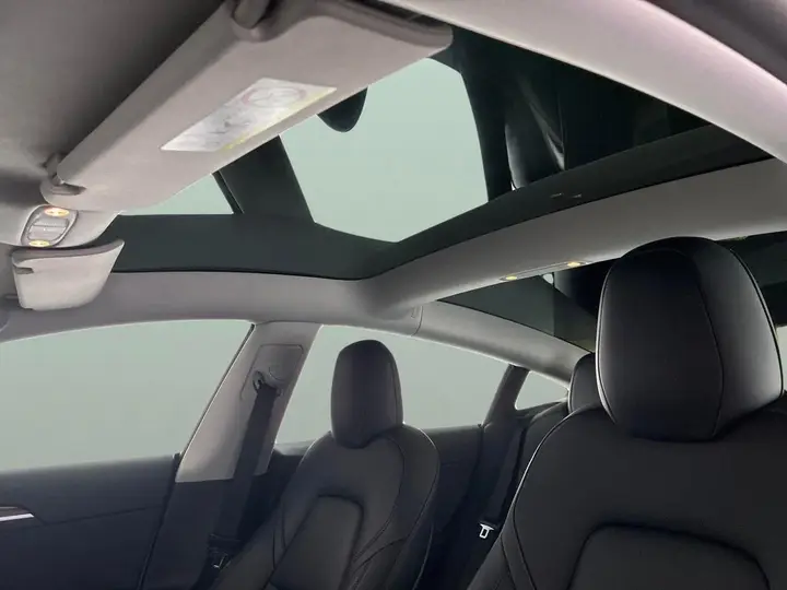 Tesla Model 3 2021 photo 5
