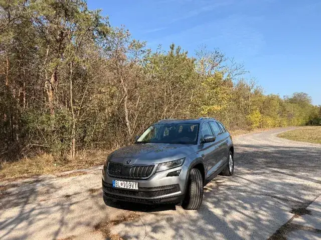 Skoda Kodiaq 2019 photo 4