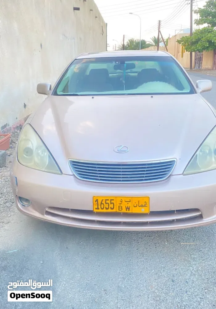 Lexus Other