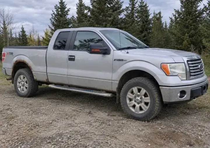 Ford F-150 2010 photo 2