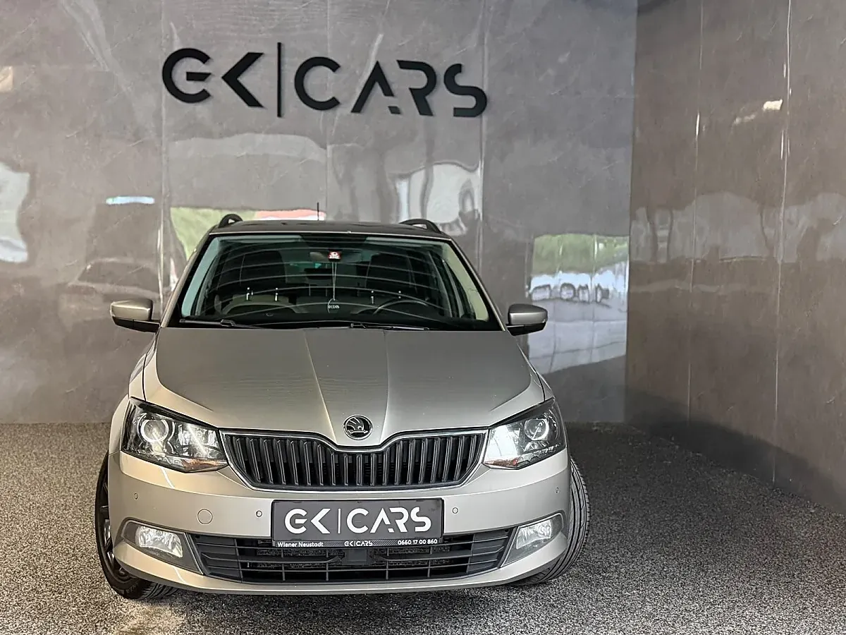 Skoda Fabia 2017 photo 2
