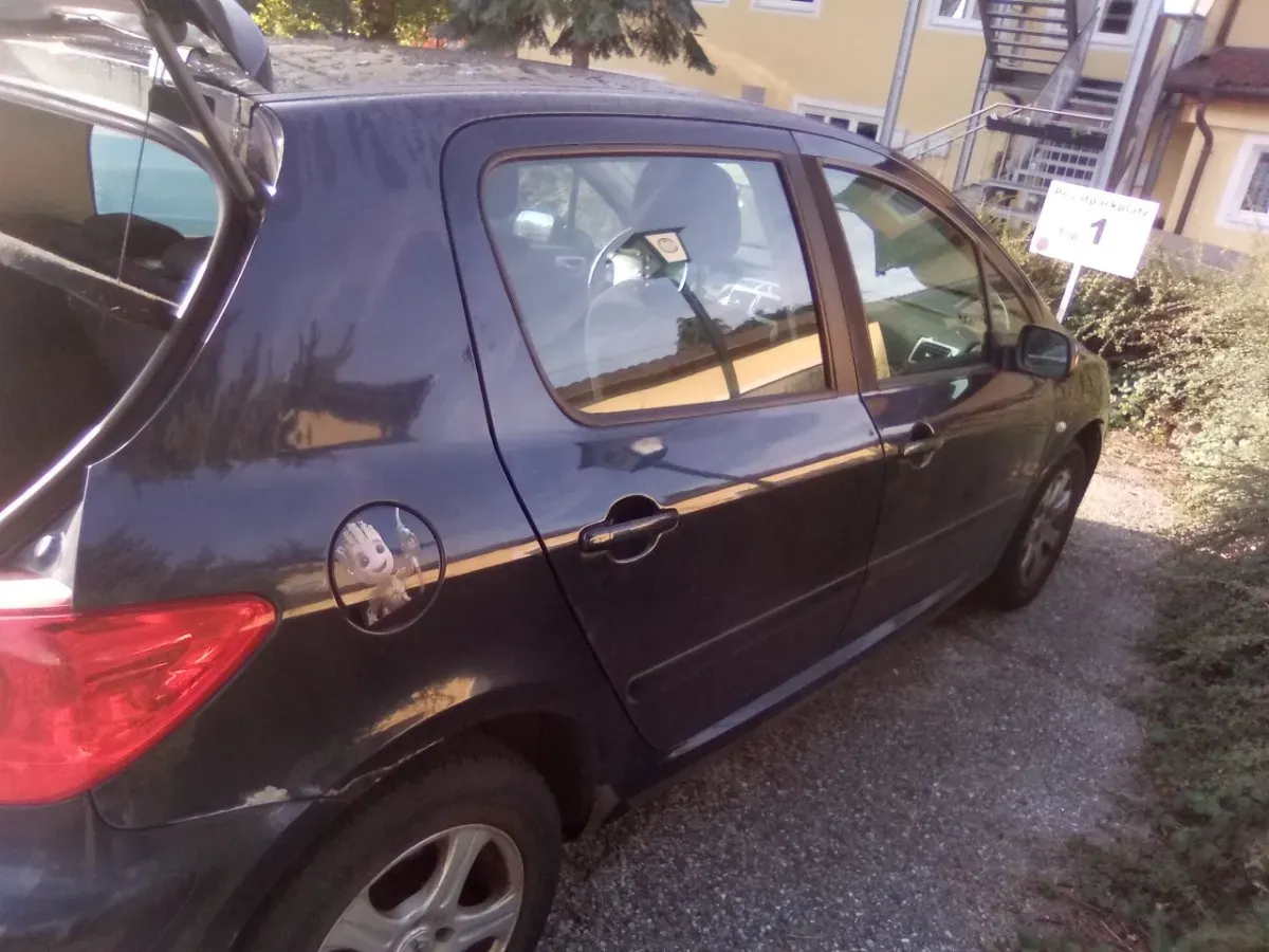 Peugeot 307 2007 photo 3