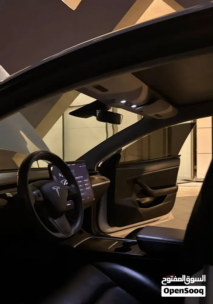 Tesla Model 3 2021 photo 4