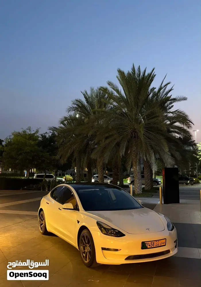 Tesla Model 3 2021 photo 2