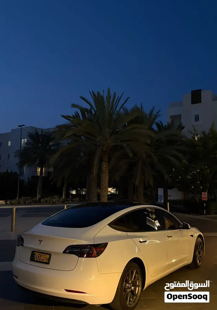 Tesla Model 3 2021 photo 3