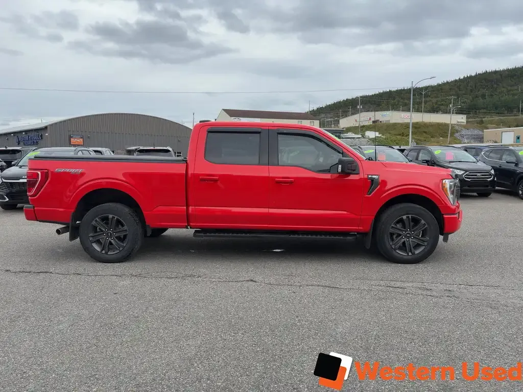 Ford F-150 2023 photo 2