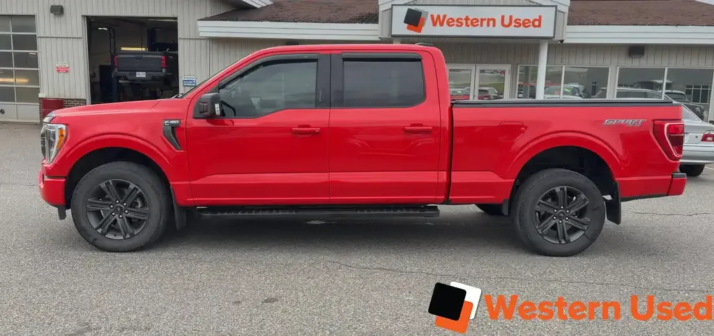 Ford F-150 2023 photo 4