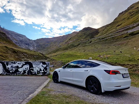 Tesla Model 3 2021 photo 2