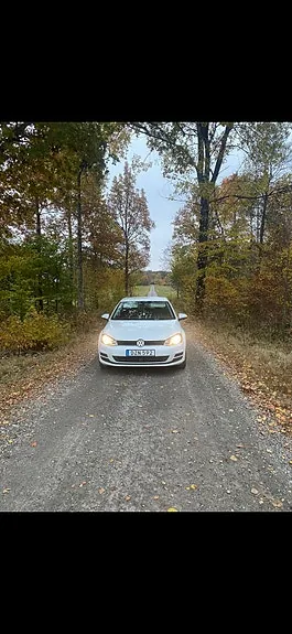 Volkswagen Golf Vii 2015 photo 3