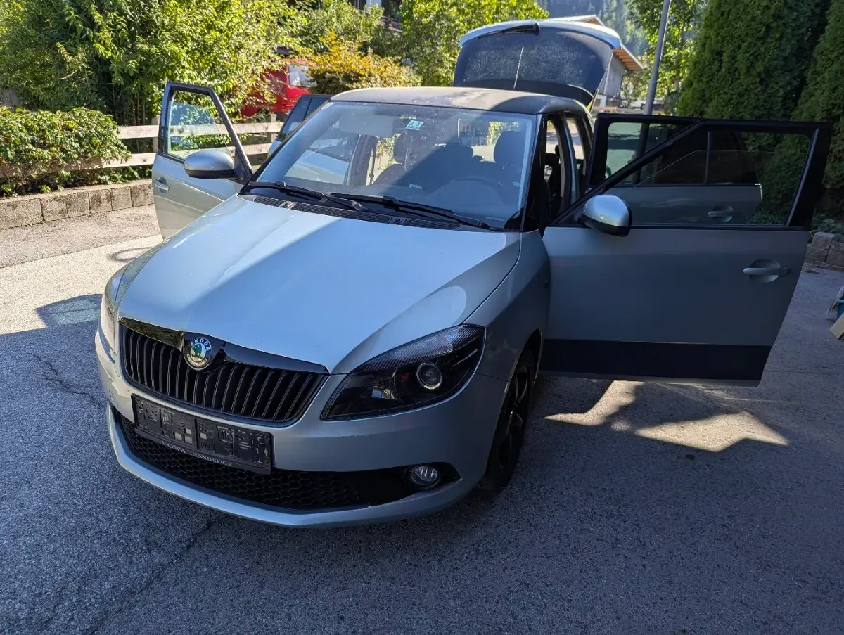 Skoda Fabia 2010 photo 2