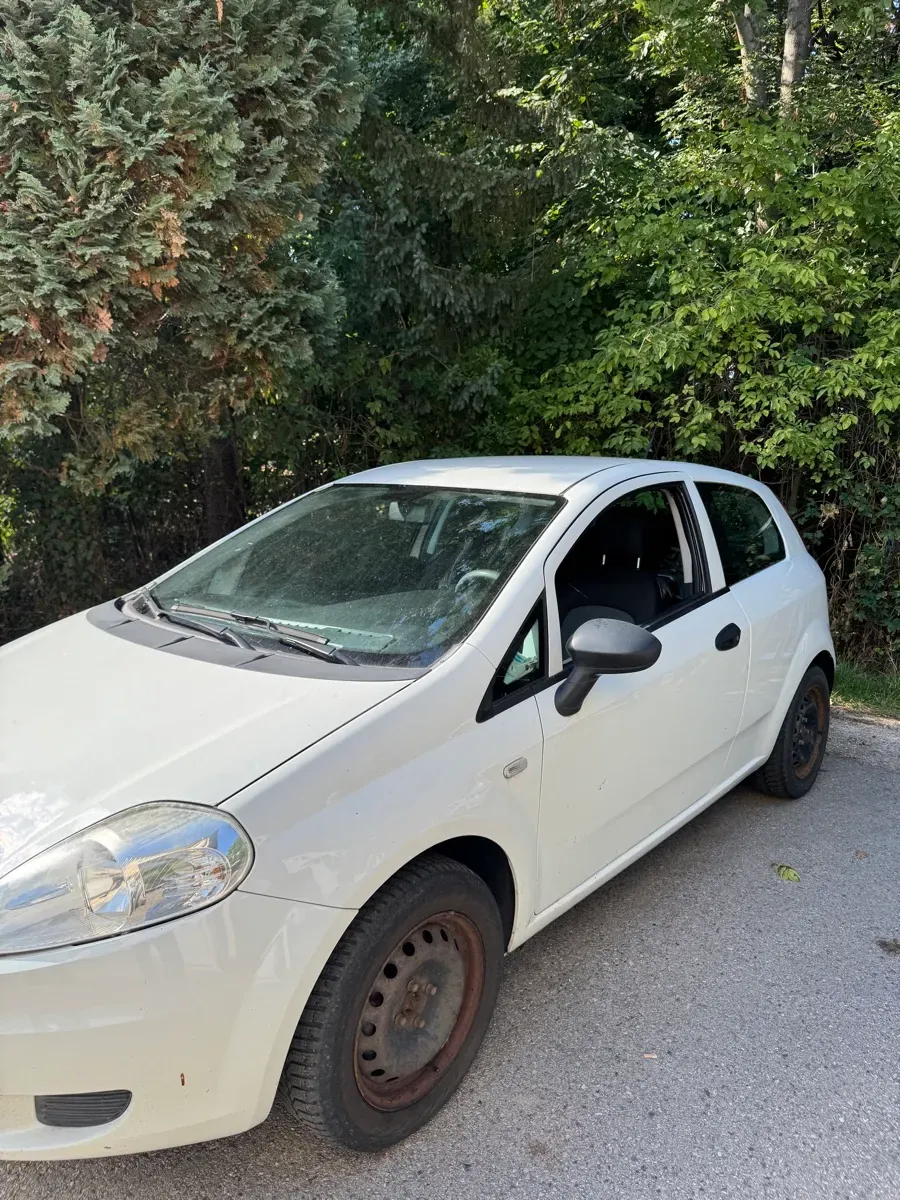 Fiat Punto 2011 photo 2