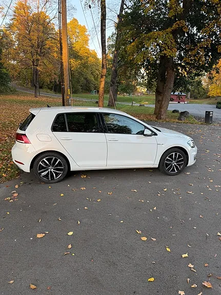 Volkswagen E-Golf Vii 2020 photo 4