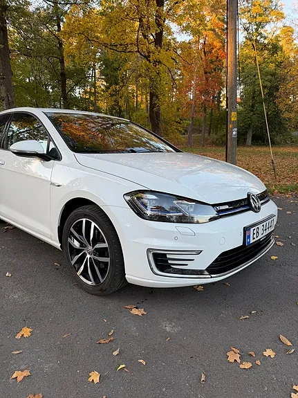 Volkswagen E-Golf Vii 2020 photo 3