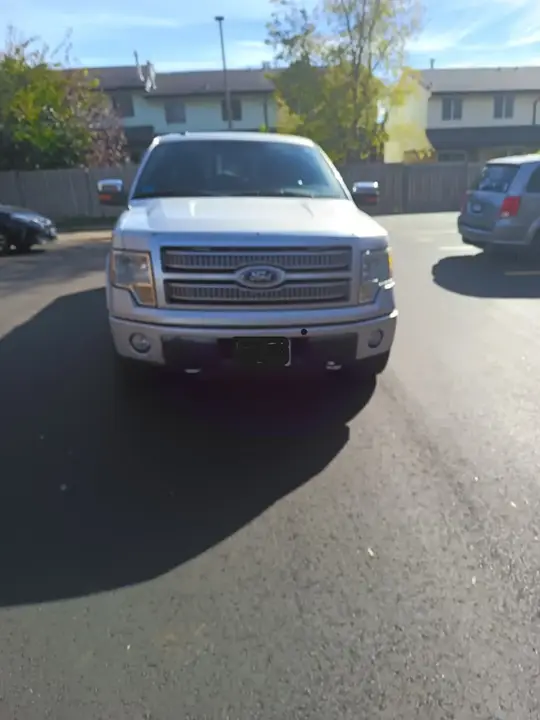 Ford F-150 2010 photo 2