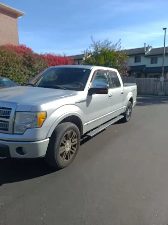 Ford F-150 2010 photo 3
