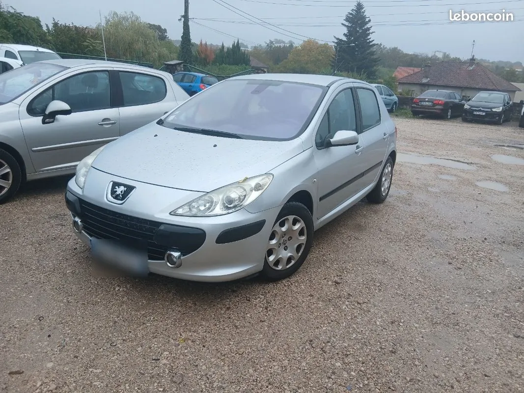 Peugeot 307 2006 photo 3