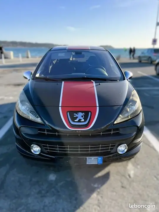 Peugeot 207 2009 photo 4