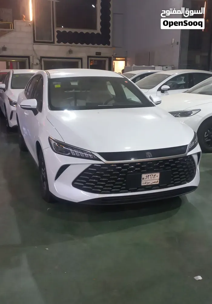 BYD Other