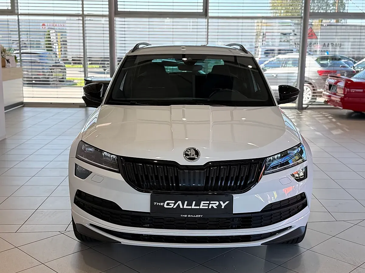 Skoda Karoq 2020 photo 2