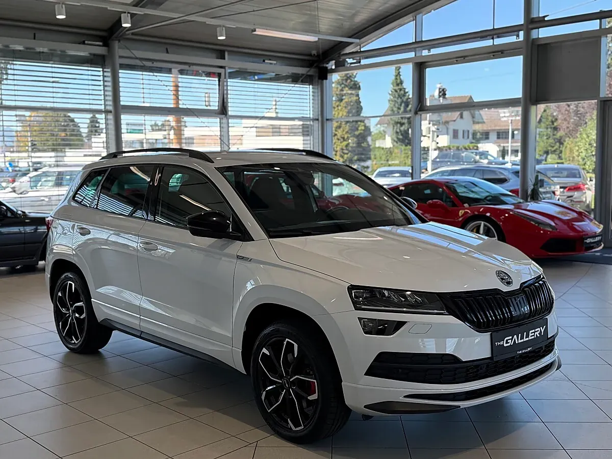 Skoda Karoq 2020 photo 3