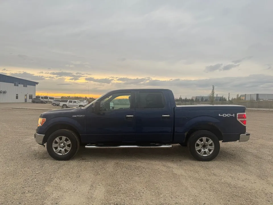 Ford F-150 2009 photo 2