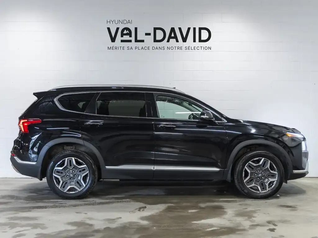 Hyundai Santa Fe 2021 photo 2