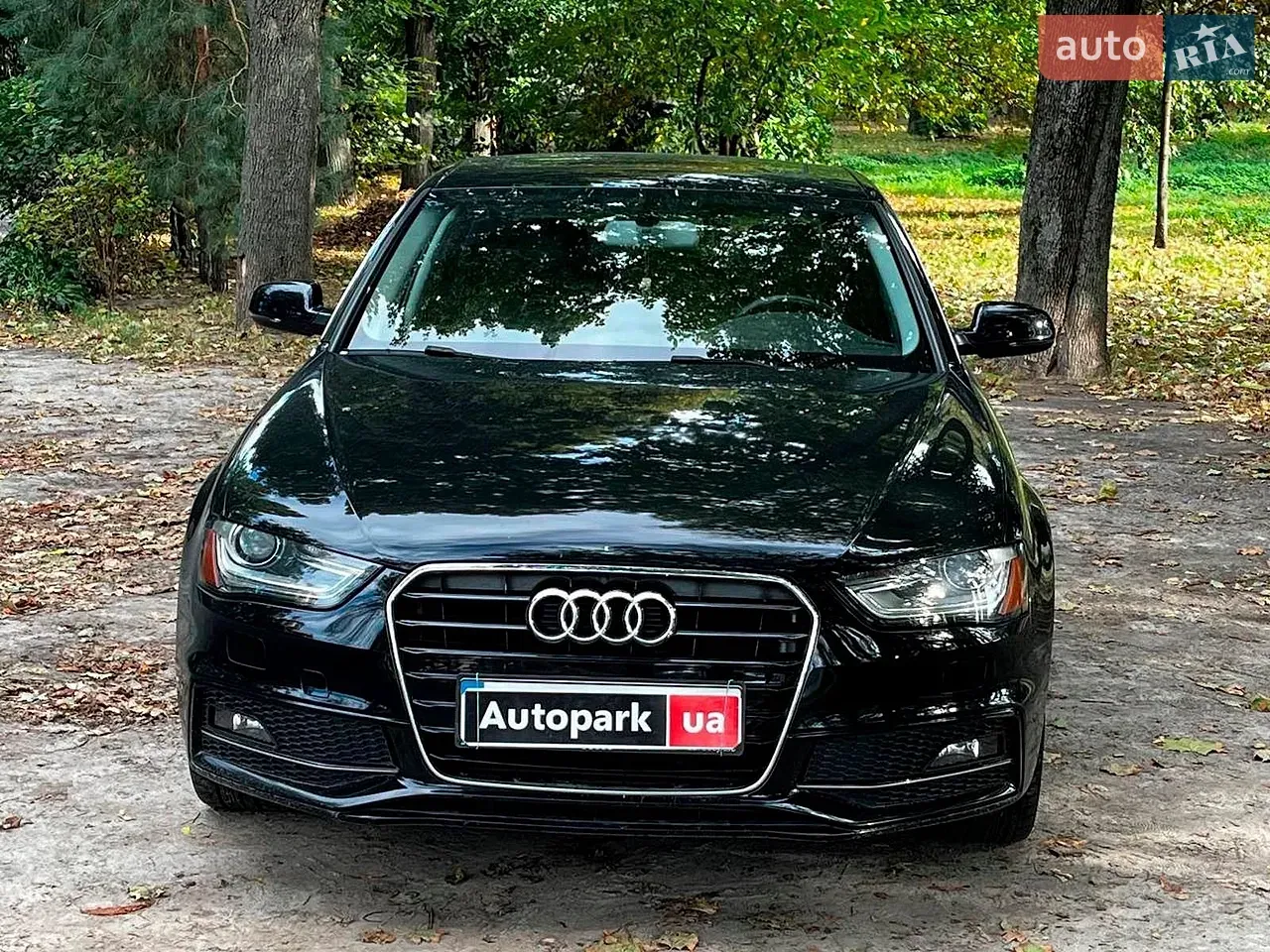 Audi A4 2014 photo 2
