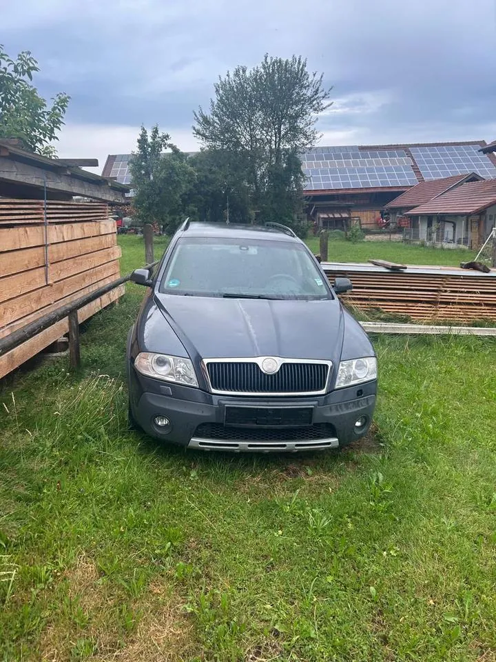 Skoda Octavia Combi