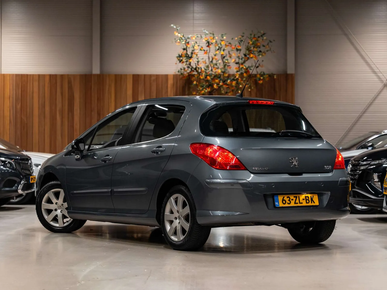 Peugeot 308 2008 photo 4