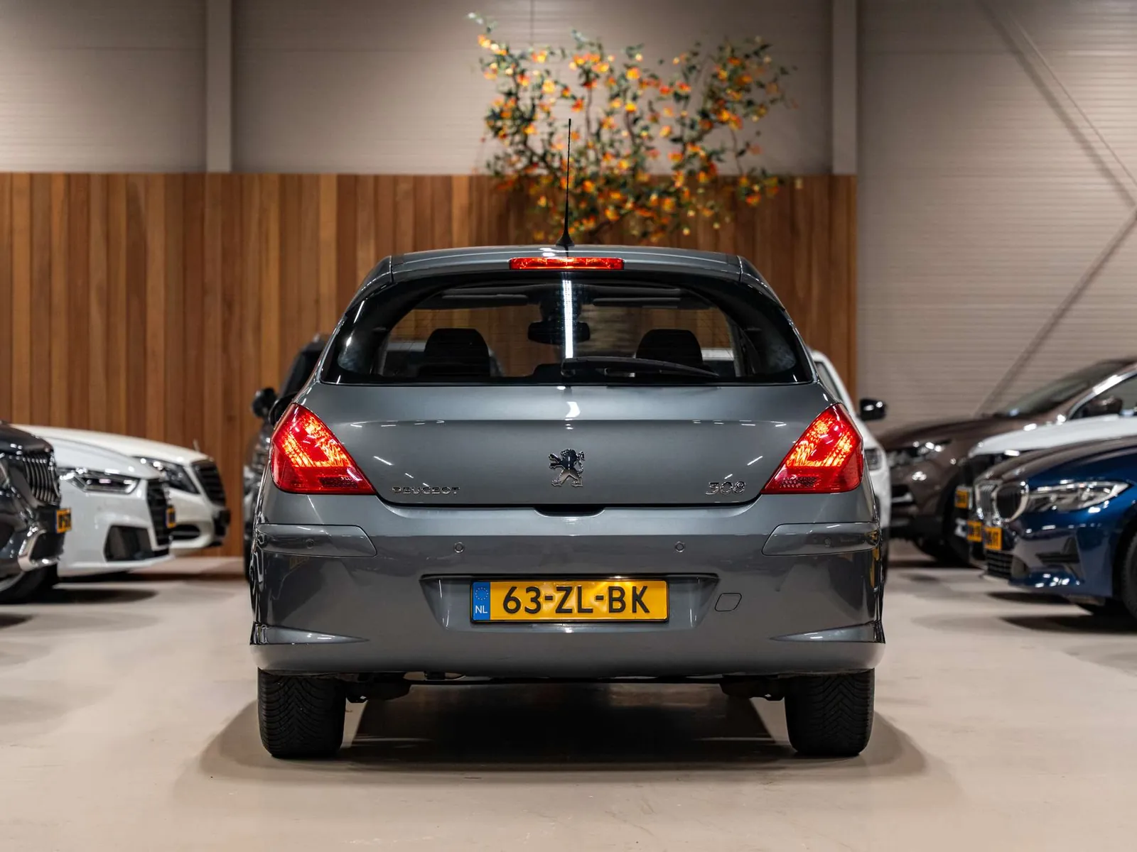 Peugeot 308 2008 photo 5