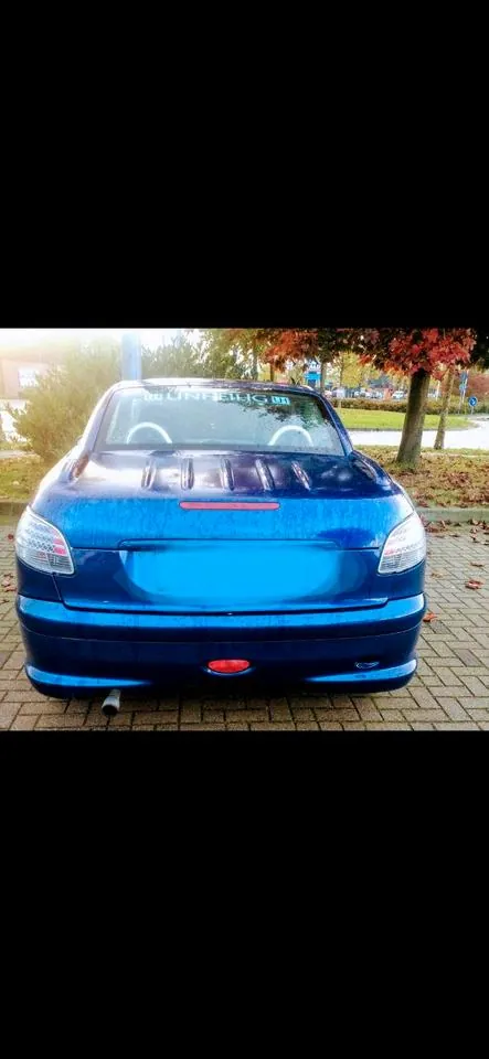 Peugeot 206 Cc