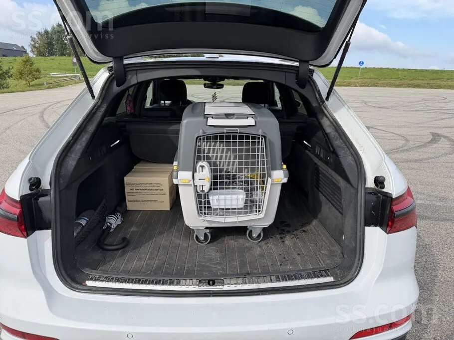 Audi A6 2019 photo 5