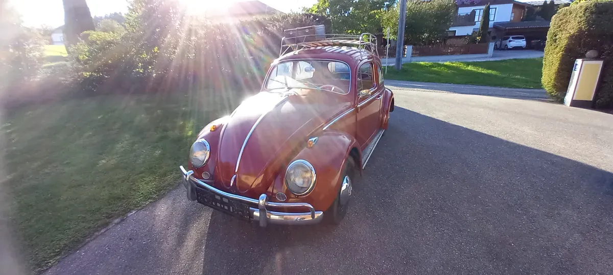 Volkswagen Käfer