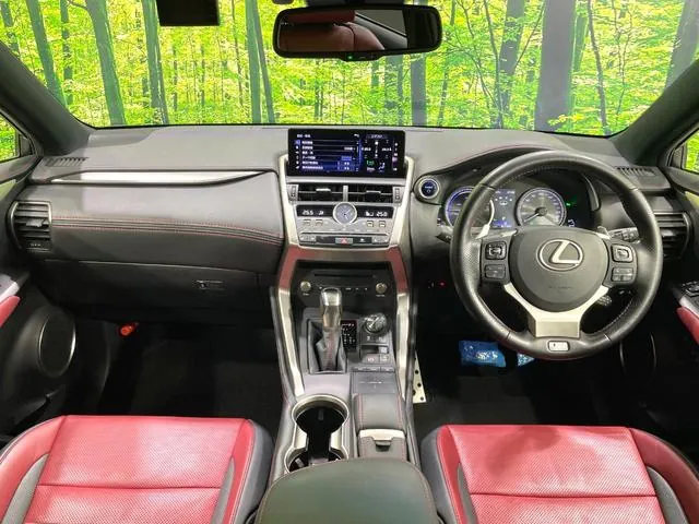 Lexus Nx300H 2019 photo 2