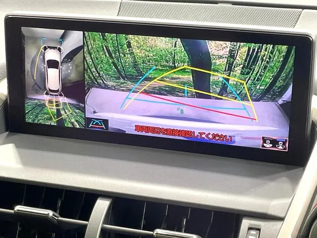Lexus Nx300H 2019 photo 5