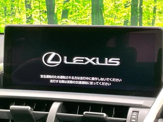 Lexus Nx300H 2019 photo 4