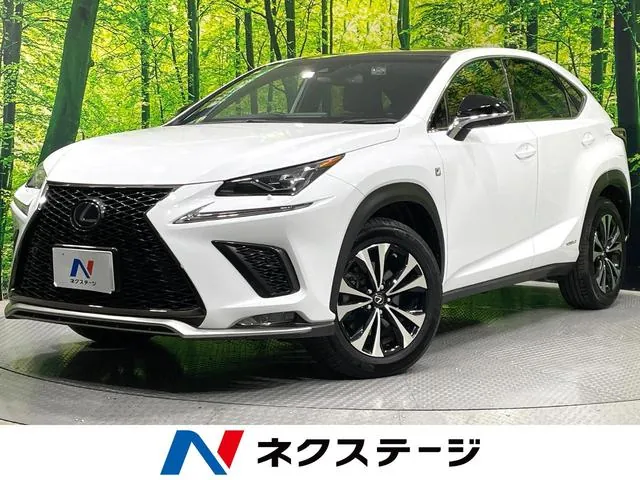 Lexus Nx300H