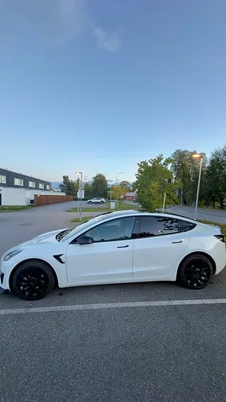 Tesla Model 3 2021 photo 4
