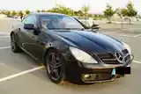 Mercedes-Benz Slk 2010 photo 4