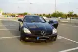 Mercedes-Benz Slk 2010 photo 2