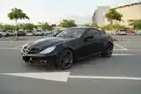 Mercedes-Benz Slk 2010 photo 3