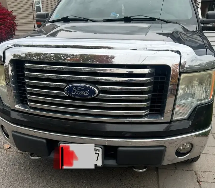 Ford F-150 2010 photo 2