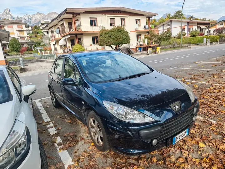 Peugeot 307