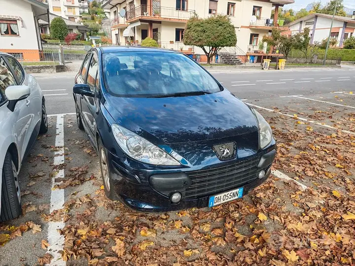 Peugeot 307 2007 photo 4